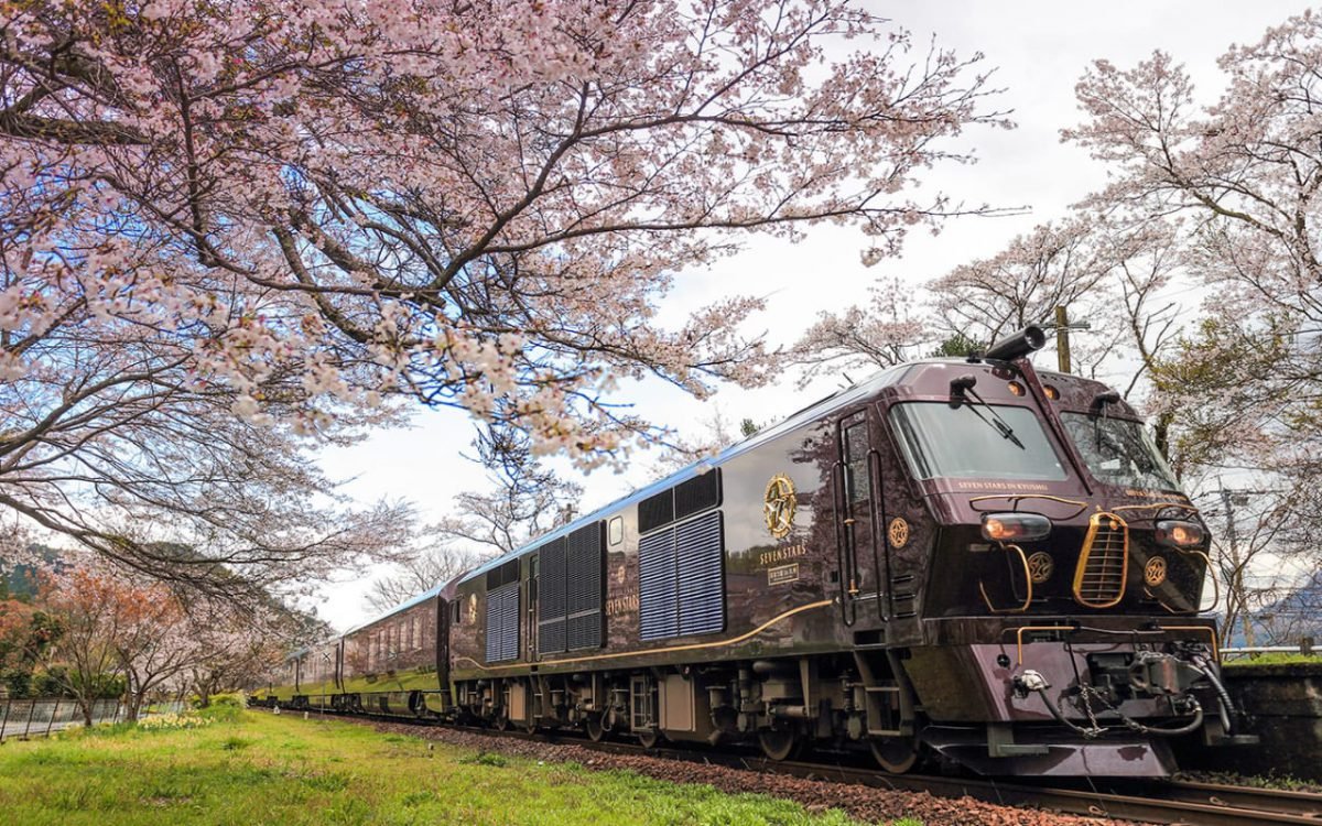 Nanatsuboshi Train, Train, Sky, Plant, Vehicle, Rolling stock, Tree, Branch, Track, Railway
