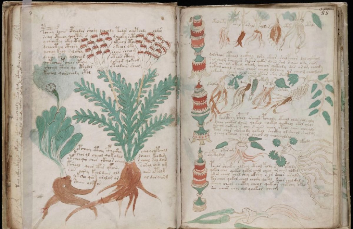 Voynich Manuscript, Plant, Book