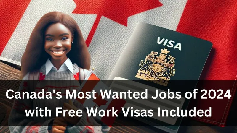 Canada Work Visa 2024