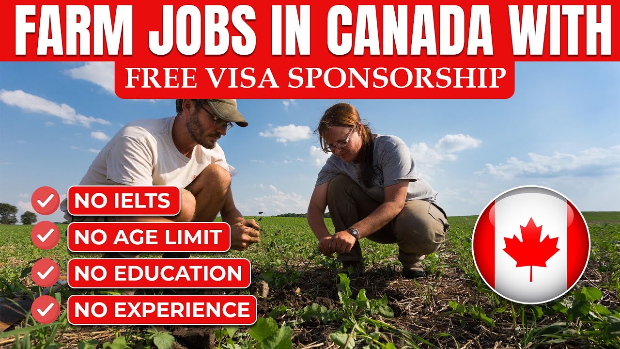 Farm Jobs in Canada for Foreigners with Visa Sponsorship 2024