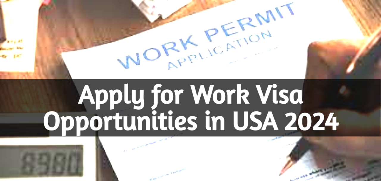 USA Work Visa 2024